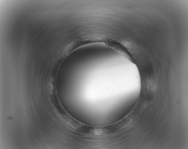 X0000066970264200603311457