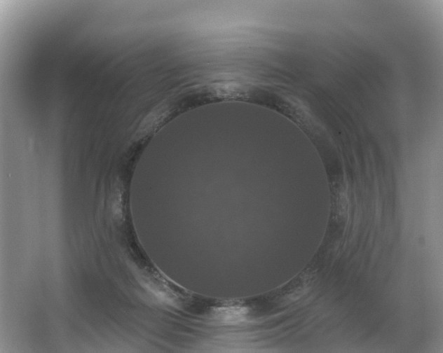 X0000066970266200603311457