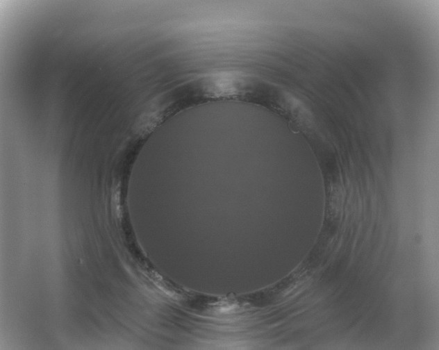 X0000066970267200603311457