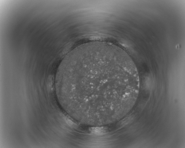 X0000066970273200603311457