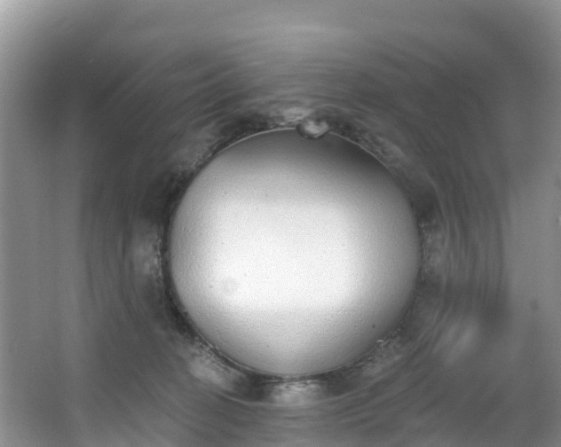 X0000066970274200603311457