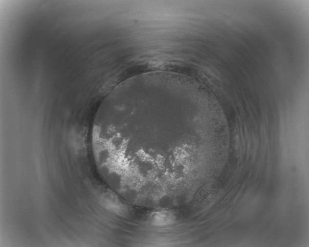 X0000066970275200603311457