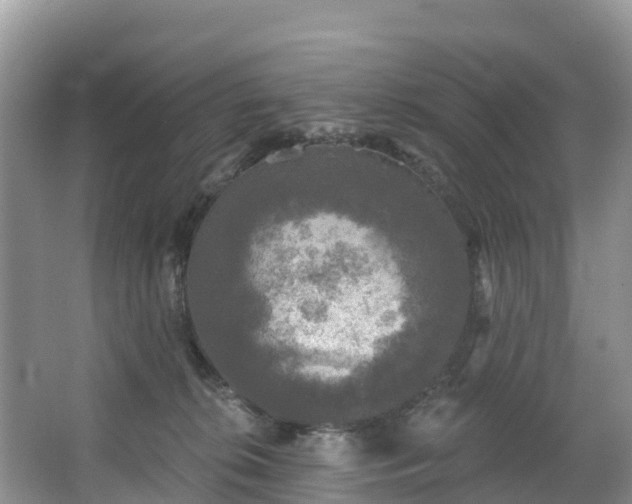 X0000066970276200603311457