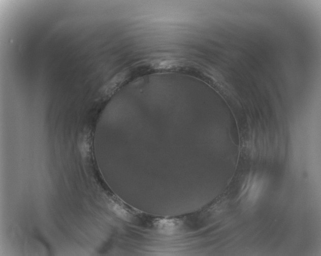 X0000066970277200603311457