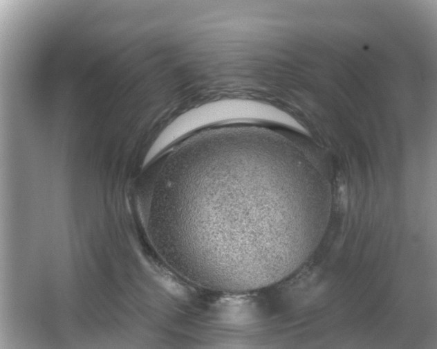 X0000066970280200603311457