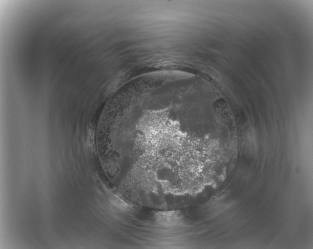 X0000066970281200603311457