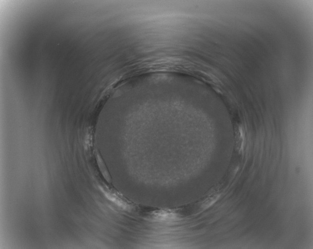 X0000066970284200603311457