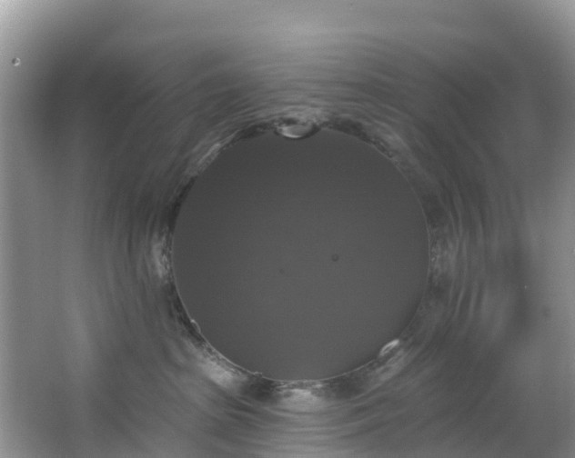 X0000066970285200603311457