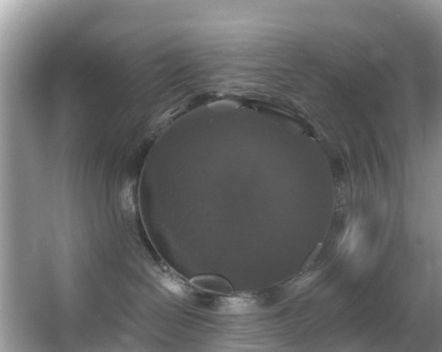 X0000066970286200603311457