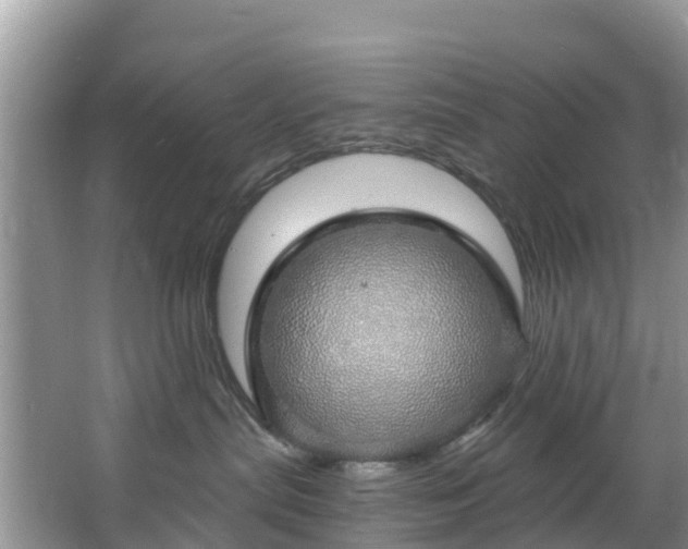 X0000066970287200603311457