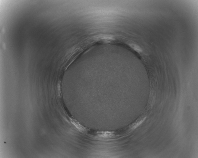 X0000066970288200603311457