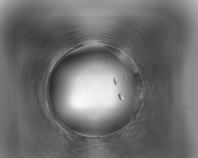 X0000066970289200603311456