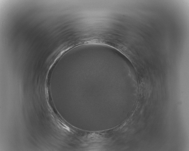 X0000066970290200603311456