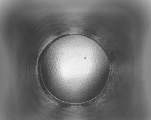 X0000066970292200603311456