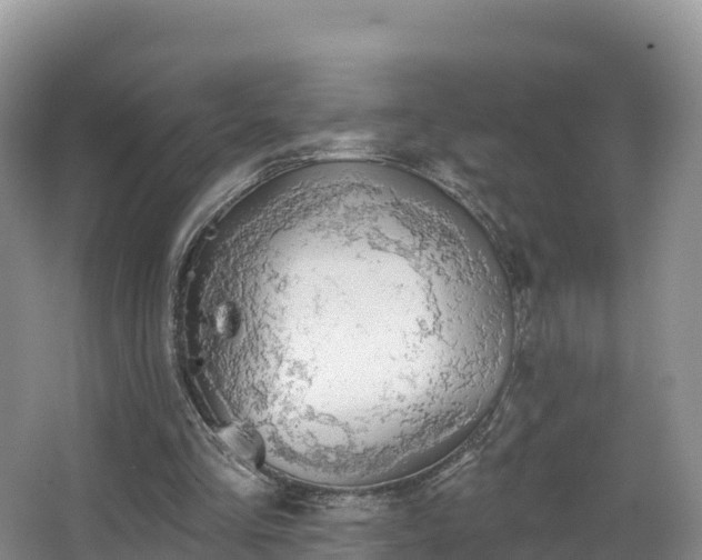 X0000066970293200603311456