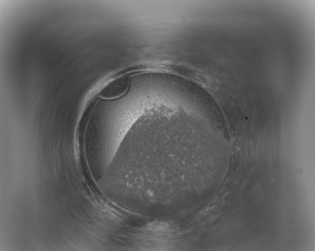 X0000066970294200603311456