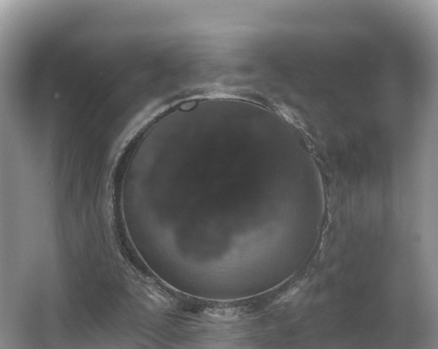 X0000066970295200603311456