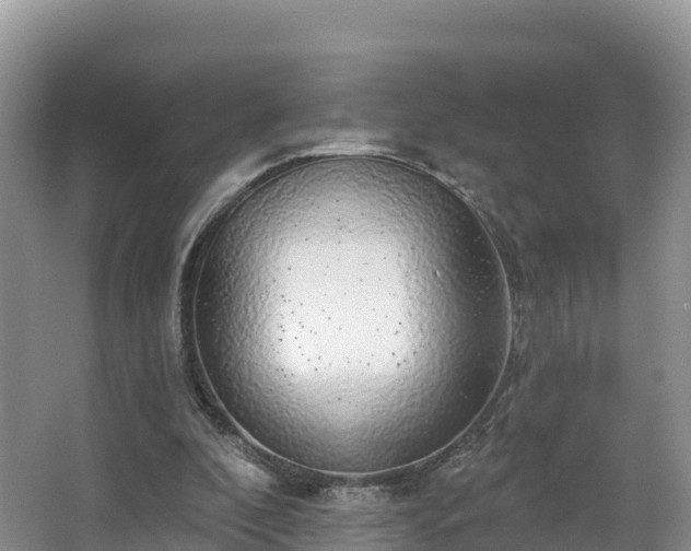 X0000066970296200603311456