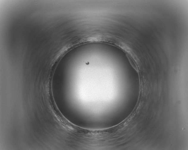 X0000066970297200603311456