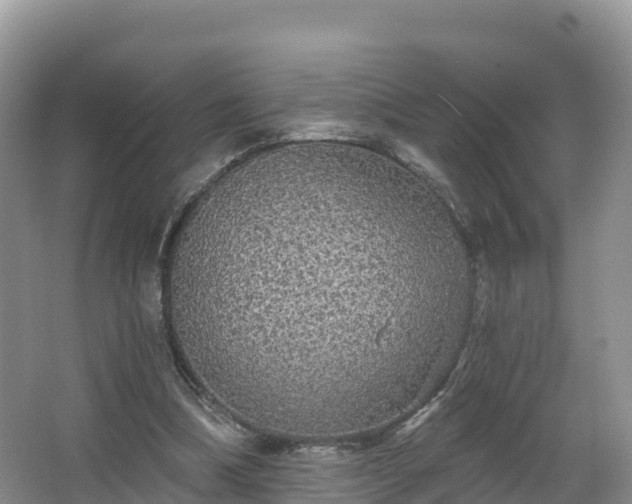 X0000066970298200603311456