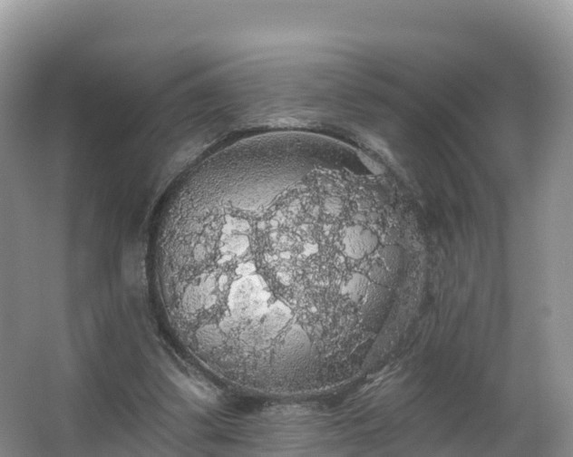 X0000066970299200603311456