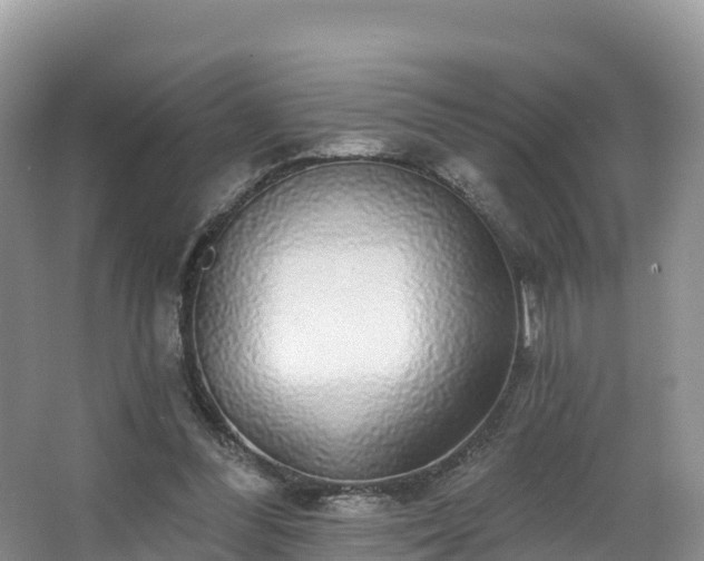 X0000066970300200603311456