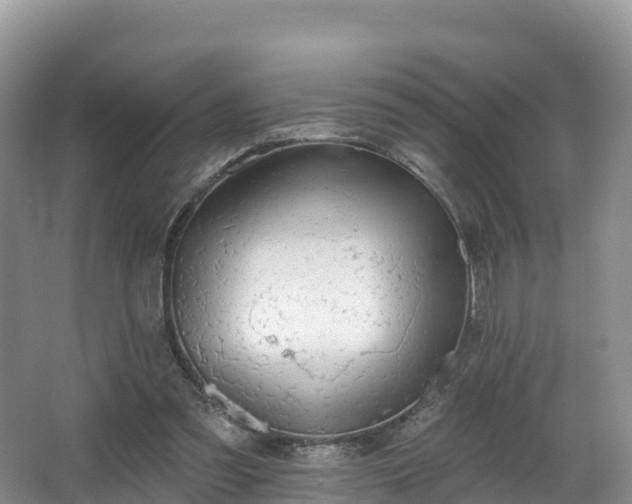 X0000066970301200603311456