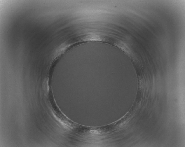 X0000066970302200603311456