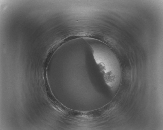 X0000066970303200603311456