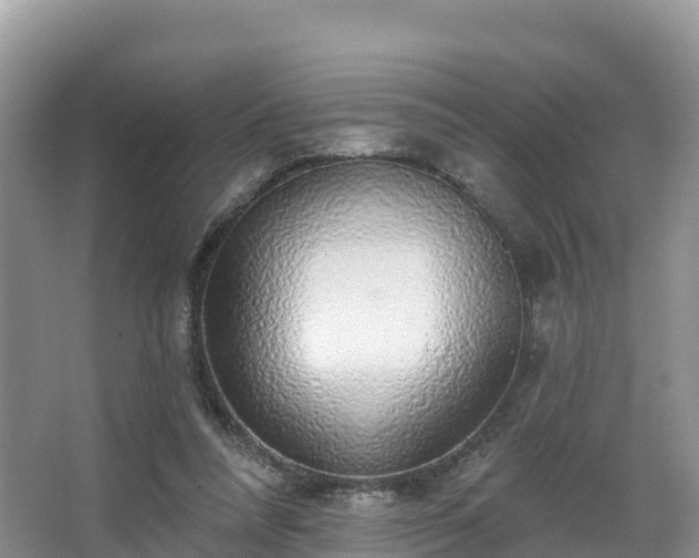 X0000066970304200603311456