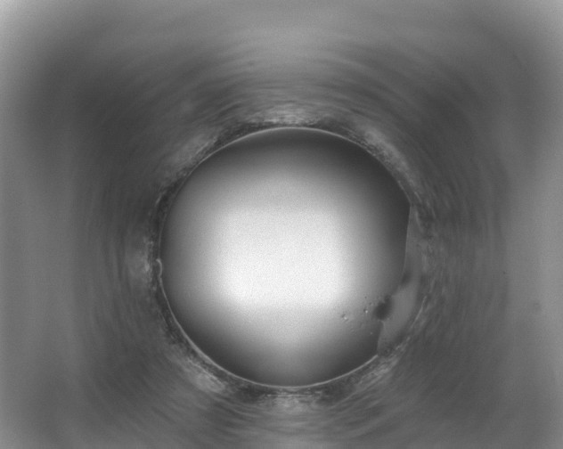 X0000066970305200603311456