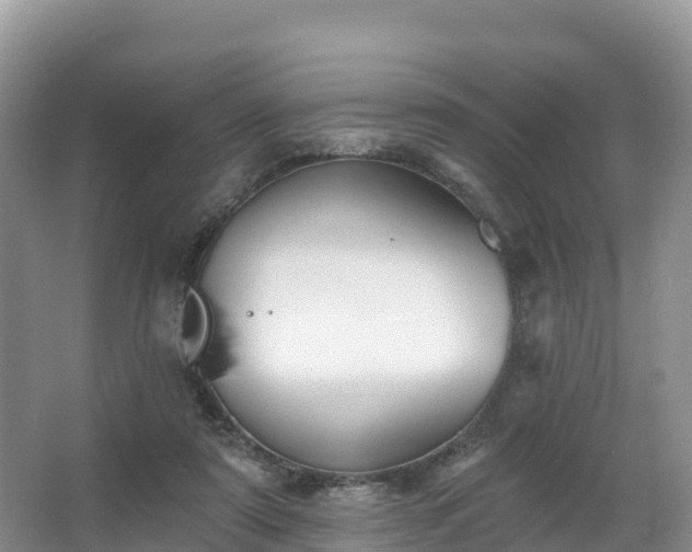 X0000066970307200603311456