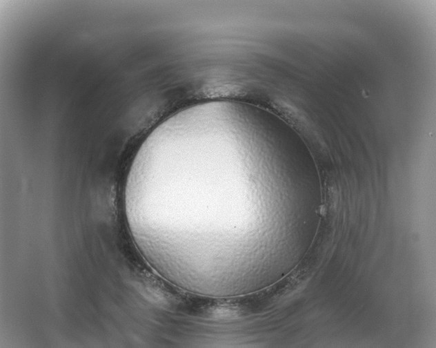 X0000066970308200603311456