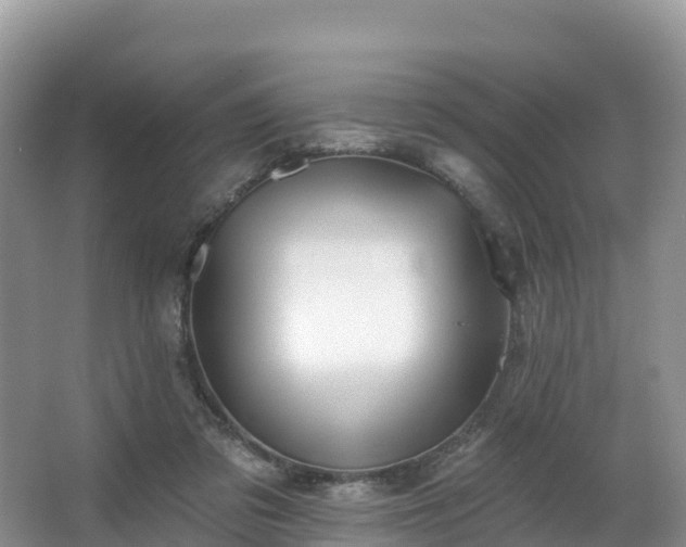 X0000066970309200603311456