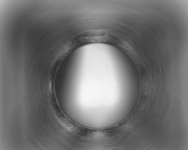 X0000066970310200603311456