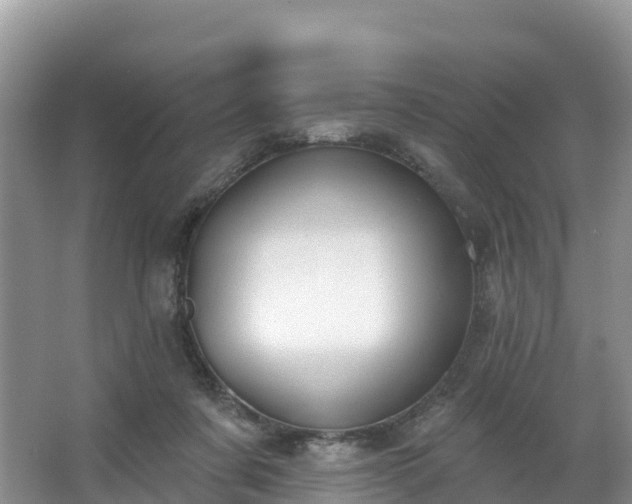 X0000066970311200603311456