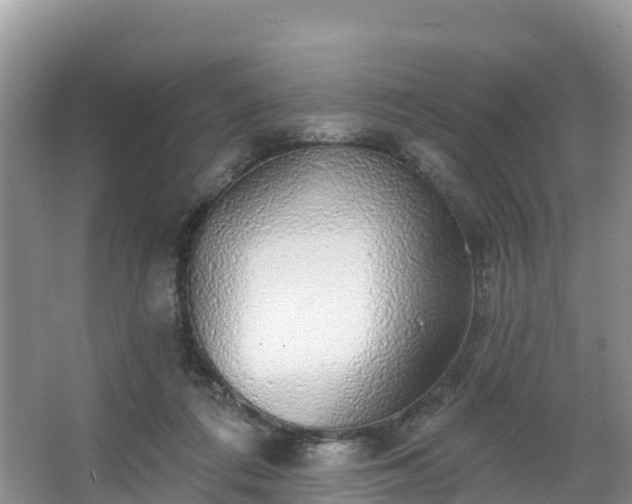 X0000066970312200603311456