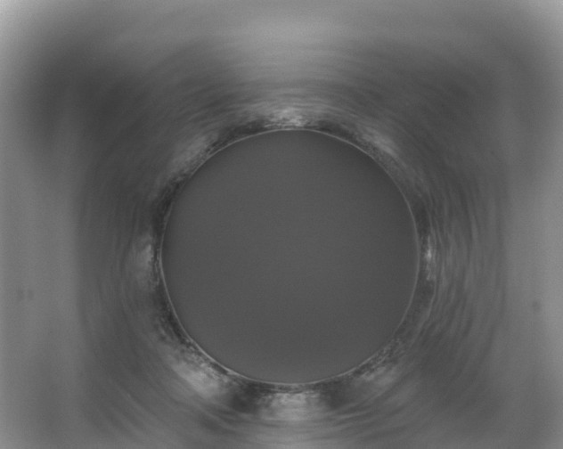 X0000066970314200603311456