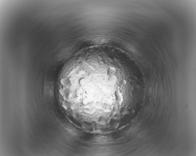 X0000066970315200603311456