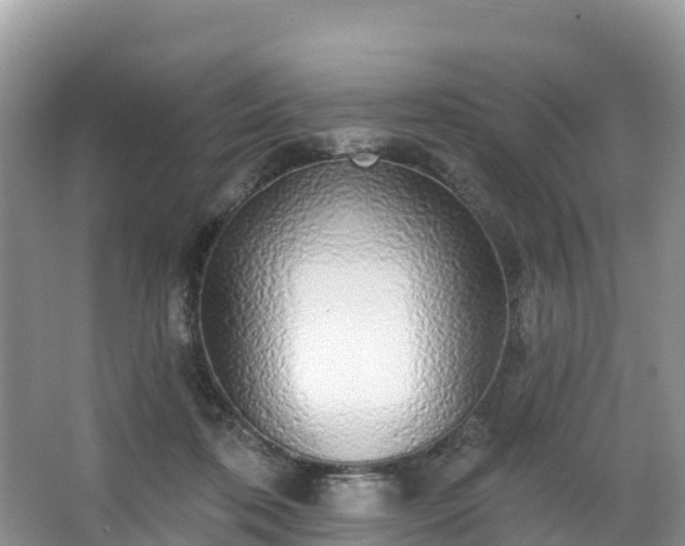 X0000066970316200603311456