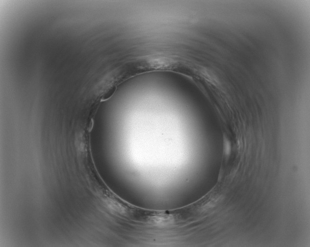 X0000066970317200603311456