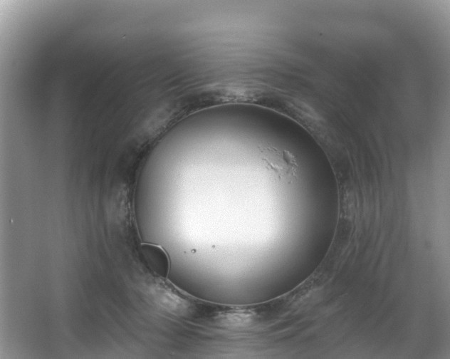 X0000066970318200603311456