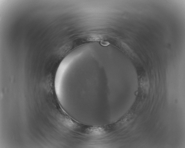 X0000066970322200603311456