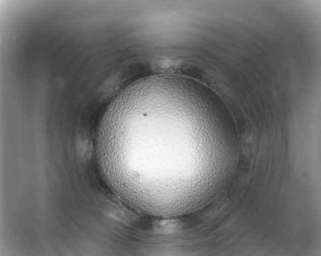 X0000066970324200603311456