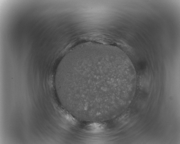 X0000066970326200603311455