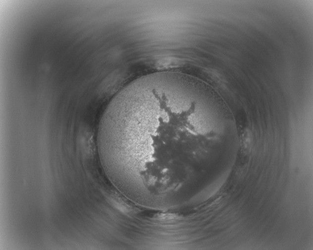 X0000066970327200603311455