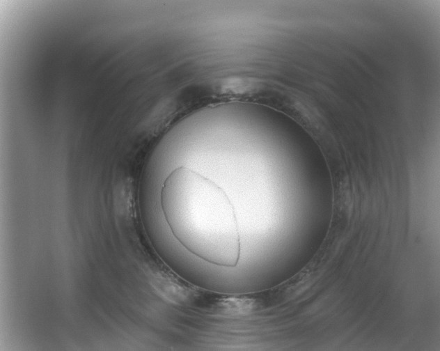 X0000066970328200603311455