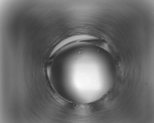 X0000066970329200603311455