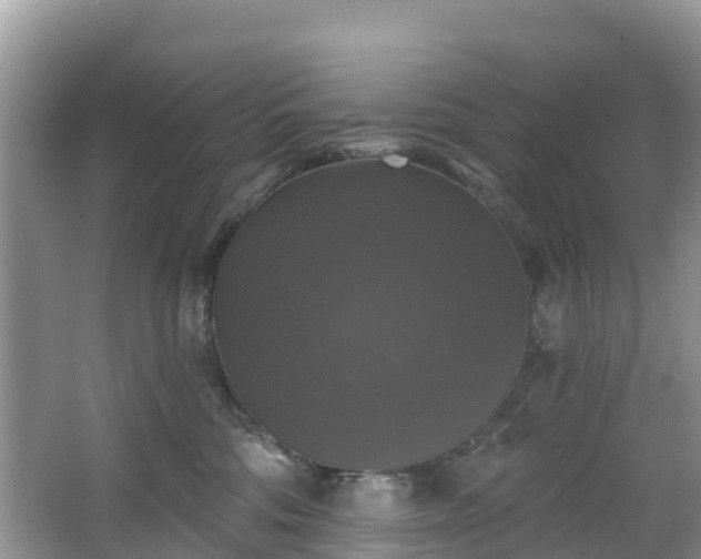 X0000066970330200603311455