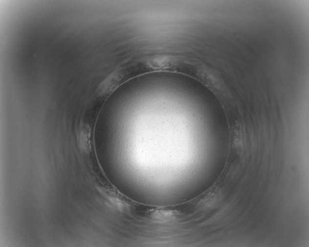 X0000066970332200603311455